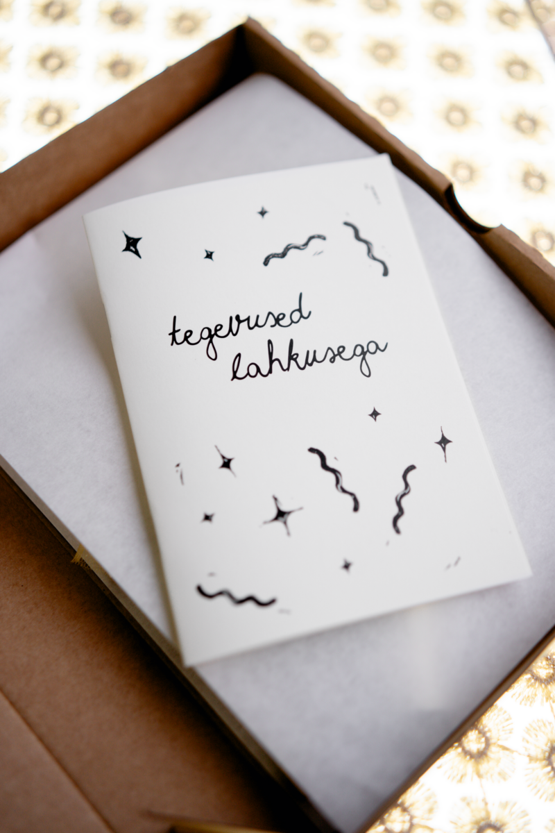 välja müüdud // lahkuse nukk - Image 3